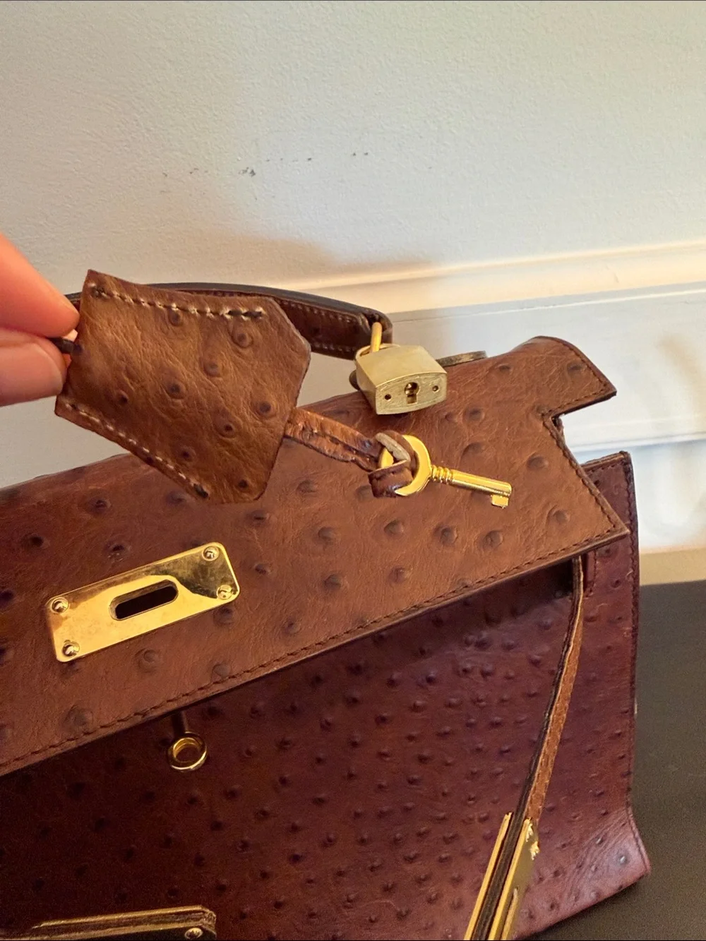 Classic Brown Ostrich-Texture Top Handle Bag